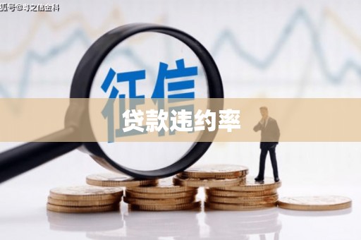 济宁贷款违约率