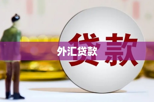 济宁外汇贷款