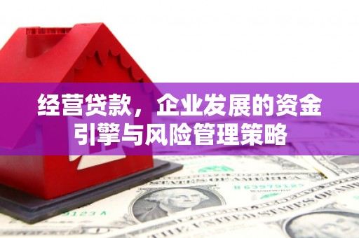 济宁经营贷款，企业发展的资金引擎与风险管理策略