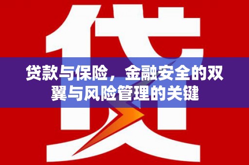 济宁贷款与保险，金融安全的双翼与风险管理的关键
