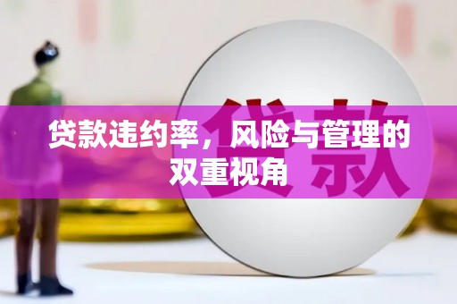 济宁贷款违约率，风险与管理的双重视角