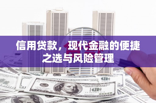 济宁信用贷款，现代金融的便捷之选与风险管理