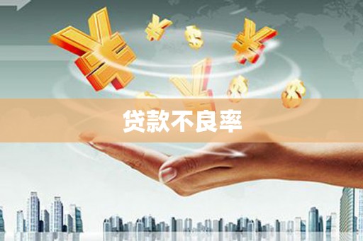 济宁贷款不良率