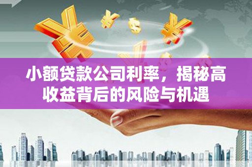 济宁小额贷款公司利率，揭秘高收益背后的风险与机遇