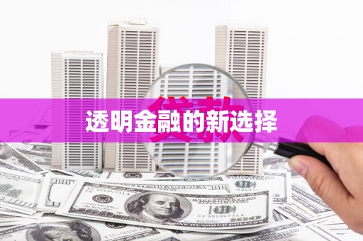 济宁透明金融的新选择