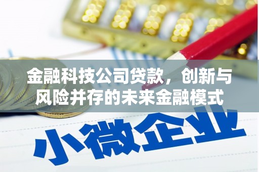 济宁金融科技公司贷款，创新与风险并存的未来金融模式