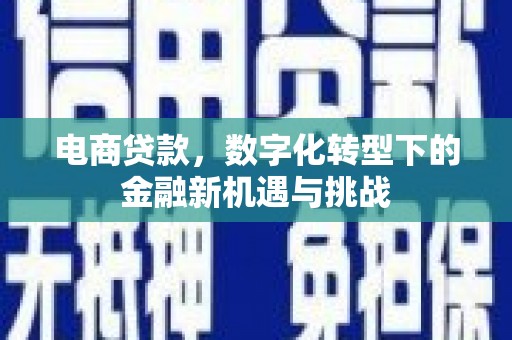 济宁电商贷款，数字化转型下的金融新机遇与挑战