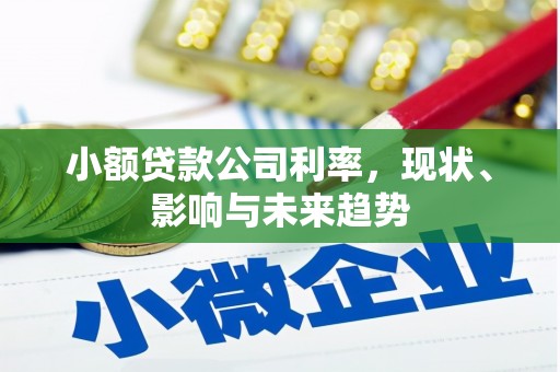 济宁小额贷款公司利率，现状、影响与未来趋势