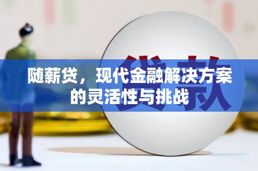济宁随薪贷，现代金融解决方案的灵活性与挑战