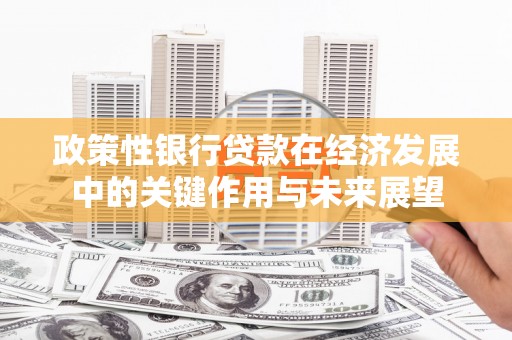 济宁政策性银行贷款在经济发展中的关键作用与未来展望
