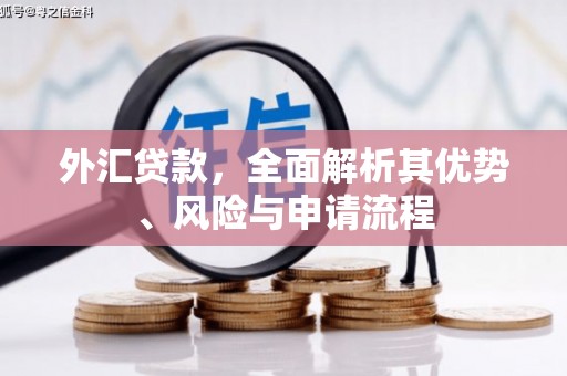 济宁外汇贷款，全面解析其优势、风险与申请流程