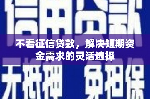 济宁不看征信贷款，解决短期资金需求的灵活选择