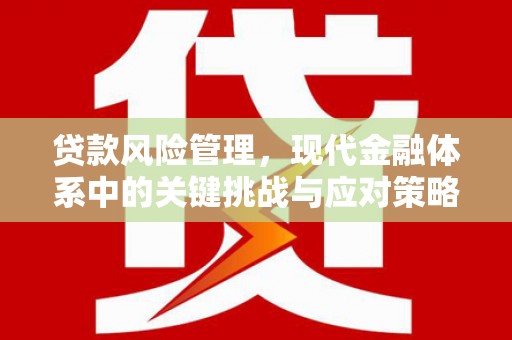 济宁贷款风险管理，现代金融体系中的关键挑战与应对策略