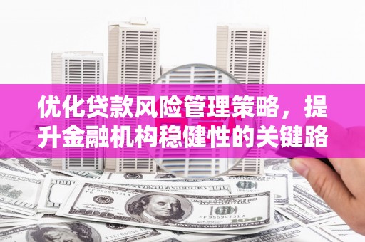 济宁优化贷款风险管理策略，提升金融机构稳健性的关键路径