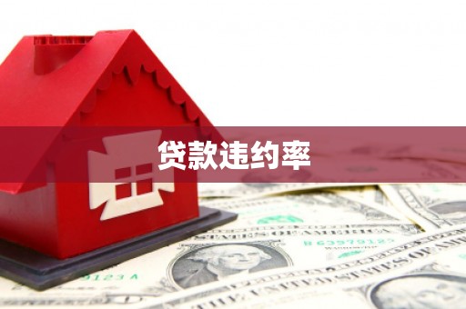 济宁贷款违约率