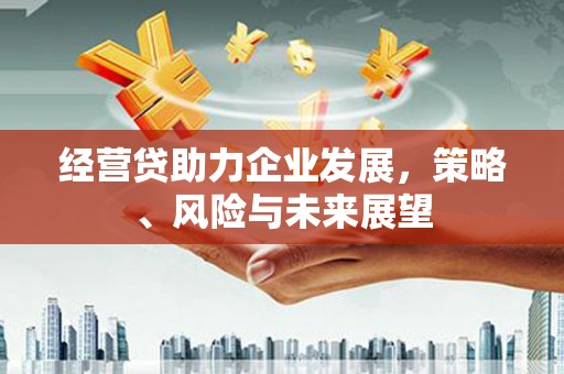 济宁经营贷助力企业发展，策略、风险与未来展望
