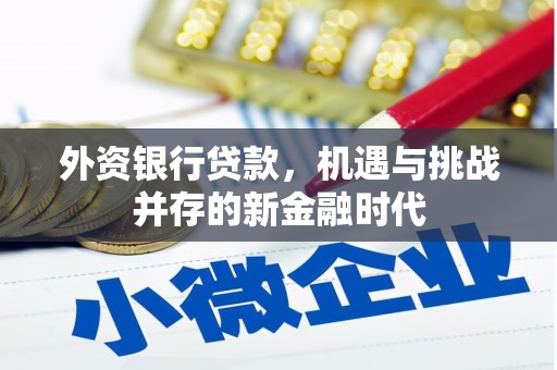 济宁外资银行贷款，机遇与挑战并存的新金融时代