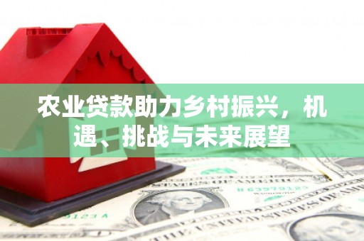 济宁农业贷款助力乡村振兴，机遇、挑战与未来展望