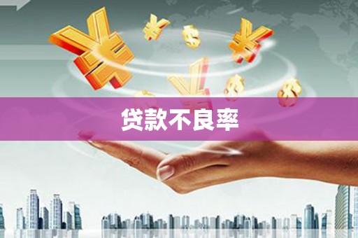 济宁贷款不良率