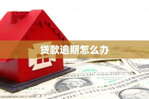 济宁贷款逾期怎么办