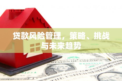 济宁贷款风险管理，策略、挑战与未来趋势