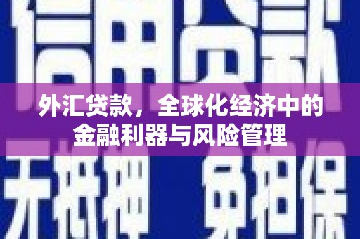 济宁外汇贷款，全球化经济中的金融利器与风险管理