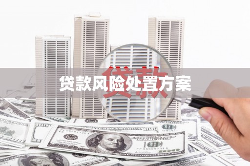 济宁贷款风险处置方案