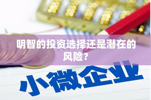 济宁明智的投资选择还是潜在的风险？