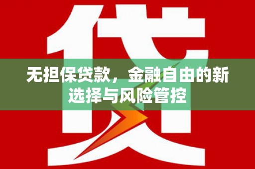 济宁无担保贷款，金融自由的新选择与风险管控