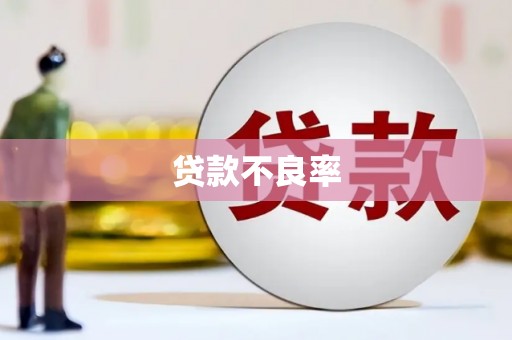 济宁贷款不良率