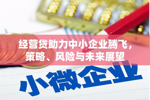 济宁经营贷助力中小企业腾飞，策略、风险与未来展望