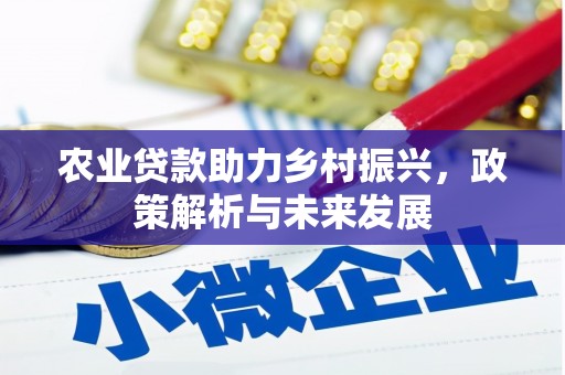 济宁农业贷款助力乡村振兴，政策解析与未来发展