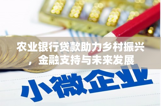 济宁农业银行贷款助力乡村振兴，金融支持与未来发展