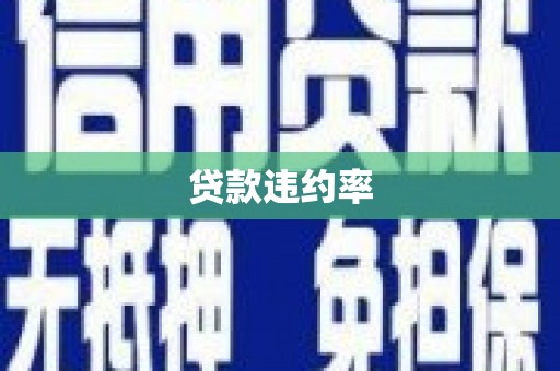 济宁贷款违约率