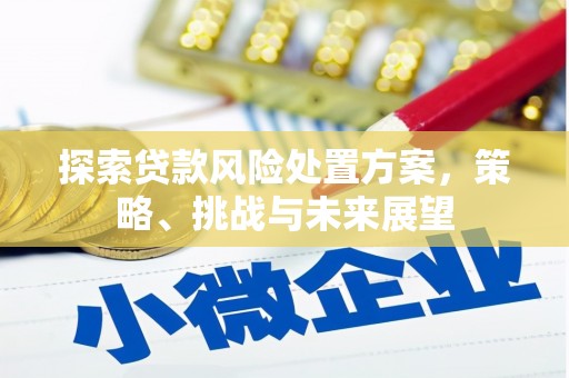 济宁探索贷款风险处置方案，策略、挑战与未来展望