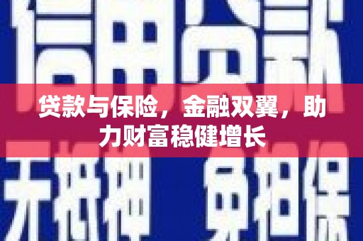 济宁贷款与保险，金融双翼，助力财富稳健增长