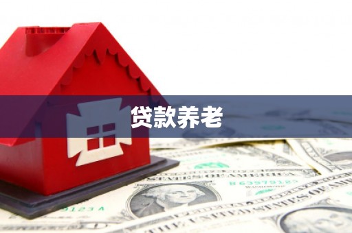 济宁贷款养老