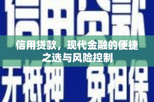 济宁信用贷款，现代金融的便捷之选与风险控制