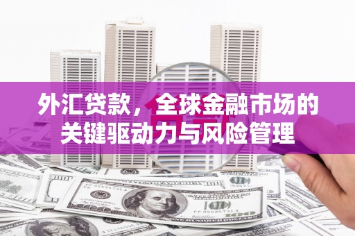 济宁外汇贷款，全球金融市场的关键驱动力与风险管理