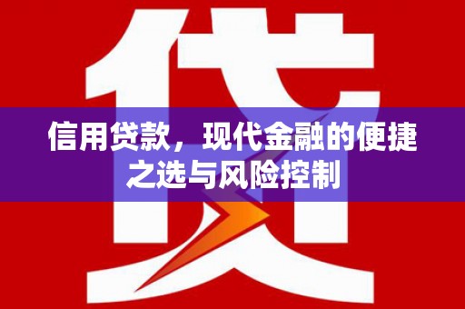 济宁信用贷款，现代金融的便捷之选与风险控制
