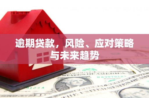 济宁逾期贷款，风险、应对策略与未来趋势