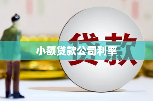 济宁小额贷款公司利率