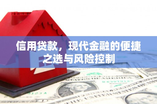 济宁信用贷款，现代金融的便捷之选与风险控制