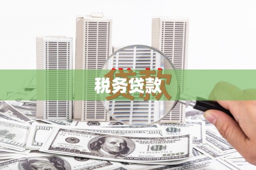 济宁税务贷款