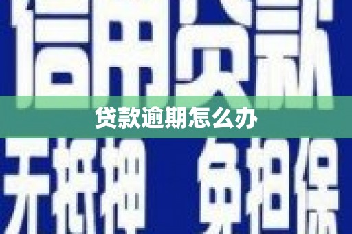 济宁贷款逾期怎么办