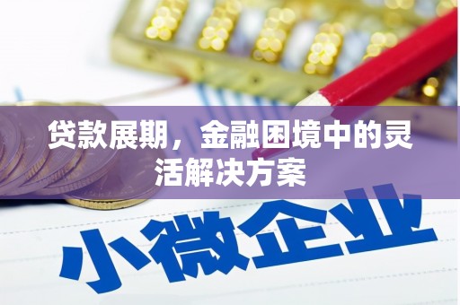 济宁贷款展期，金融困境中的灵活解决方案