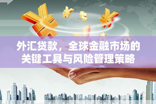 济宁外汇贷款，全球金融市场的关键工具与风险管理策略