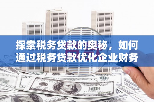 济宁探索税务贷款的奥秘，如何通过税务贷款优化企业财务