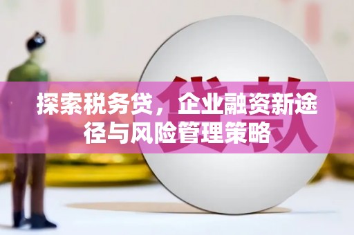 济宁探索税务贷，企业融资新途径与风险管理策略
