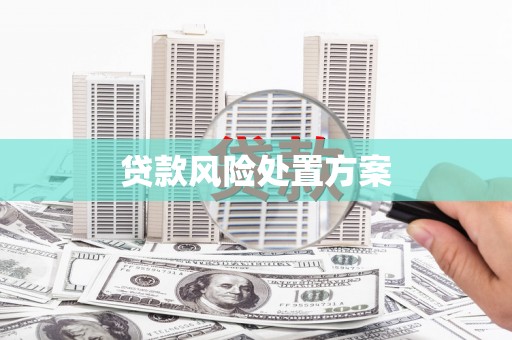 济宁贷款风险处置方案
